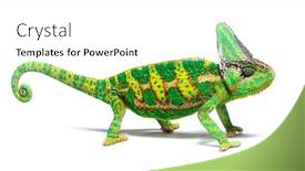  Presentation with healthy workplace full length side view - Presentation design enhanced with side-view-of-a-veiled background and a white colored foreground