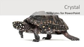  Presentation with black childen - Presentation theme featuring side-view-of-a-walking background and a light gray colored foreground