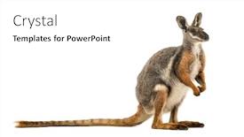  Presentation with rock - PPT theme enhanced with side-view-of-a-yellow background and a white colored foreground