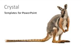  Presentation with rock - Amazing slides having side-view-of-a-yellow backdrop and a white colored foreground