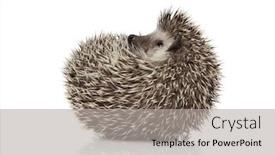  Presentation with leafes side - Audience pleasing PPT layouts consisting of side-view-of-an-adorable backdrop and a light gray colored foreground