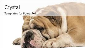  Presentation with english poet - PPT theme featuring side-view-of-an-english background and a white colored foreground