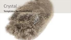  Presentation with chick - Beautiful PPT theme featuring side-view-of-an-european backdrop and a coral colored foreground