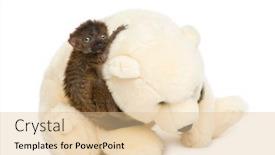  Presentation with black bear - Slide deck consisting of side-view-of-baby-blue background and a lemonade colored foreground