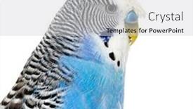  Presentation with blue - PPT theme with side-view-of-blue-crested background and a light gray colored foreground