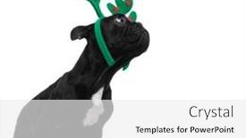  Presentation with bully - Slide set consisting of side-view-of-christmassy background and a white colored foreground