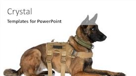  Presentation with police dog - Slides featuring side-view-of-cute-police background and a white colored foreground