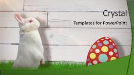  Presentation with rabbit - Beautiful theme featuring side view of cute rabbit backdrop and a light gray colored foreground