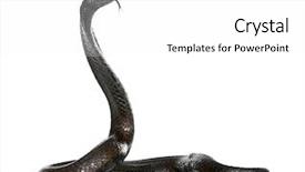  Presentation with healthy workplace full length side view - Slide deck consisting of side view of egyptian cobra background and a white colored foreground