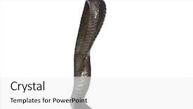  Presentation with egyptian - Beautiful PPT theme featuring side view of egyptian cobra backdrop and a white colored foreground