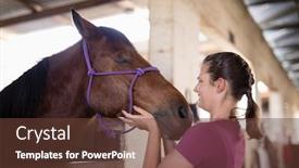  Presentation with horse head - Beautiful slide set featuring side view of female jockey holding horse head while standing in table backdrop and a tawny brown colored foreground