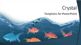  Presentation with top view of fresh fish - Amazing presentation theme having side view of fish swimming backdrop and a white colored foreground