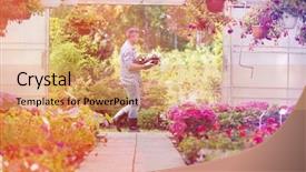 Presentation with flower pots - Beautiful PPT layouts featuring side view of gardener carrying crate with flower pots while walking outside greenhouse backdrop and a coral colored foreground