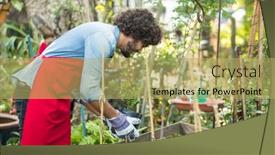  Presentation with greenhouse - PPT layouts featuring side-view-of-male-gardener background and a yellow colored foreground