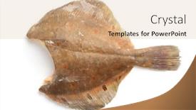  Presentation with frozen fish - Slide deck enhanced with side-view-of-raw-frozen background and a coral colored foreground