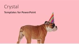  Presentation with pink birthday - Presentation consisting of side-view-of-sweet-english background and a lemonade colored foreground