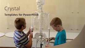  Presentation with human biology - Presentation theme having side-view-of-two-caucasian background and a soft green colored foreground