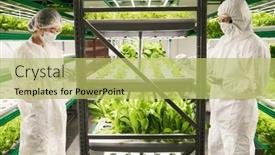  Presentation with hazmat - PPT layouts featuring side-view-of-two-coworkers background and a yellow colored foreground