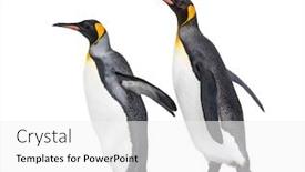  Presentation with walking together - Slide set with side-view-of-two-king background and a white colored foreground