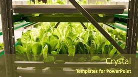  Presentation with vertical - Theme consisting of side-view-of-vertical-trusses background and a tawny brown colored foreground