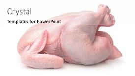  Presentation with chicken - Audience pleasing PPT layouts consisting of side-view-of-whole-raw backdrop and a white colored foreground