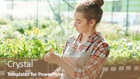  Presentation with black female - Audience pleasing slide deck consisting of side-view-of-young-female backdrop and a coral colored foreground