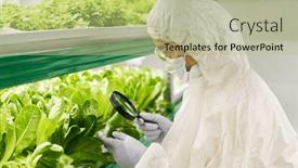  Presentation with magnifying glass - Presentation theme consisting of side-view-of-young-female background and a mint green colored foreground