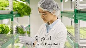  Presentation with vertical farm - Presentation theme having side-view-of-young-female background and a lemonade colored foreground