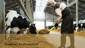  Presentation with dairy - Presentation theme featuring side-view-of-young-male background and a gold colored foreground