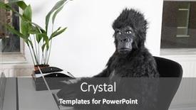  Presentation with costume - Beautiful presentation featuring side-view-of-young-man backdrop and a dark gray colored foreground