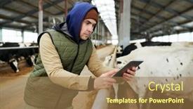  Presentation with livestock - Presentation featuring side-view-of-young-serious background and a coral colored foreground