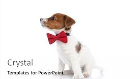  Presentation with russell - Beautiful PPT theme featuring side-view backdrop and a white colored foreground