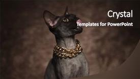  Presentation with brown and gold - Presentation theme featuring side while sitting on brown background and a wine colored foreground