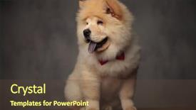  Presentation with red marble pattern wallpaper blue - PPT layouts featuring side with blue tongue expose background and a tawny brown colored foreground