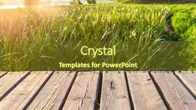  Presentation with park - Slide deck with nature scenes boardwalk - sidewalk in the park background and a tawny brown colored foreground