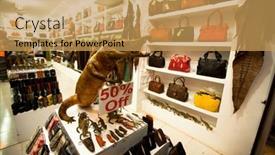  Presentation with extinction - 