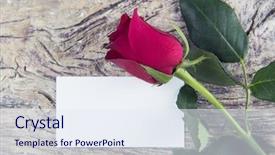  Presentation with valentines day spa - PPT layouts with sig - valentine's day card with space background and a sky blue colored foreground