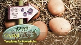  Presentation with easter worship service - Presentation design featuring sign against five eggs nestle background and a tawny brown colored foreground