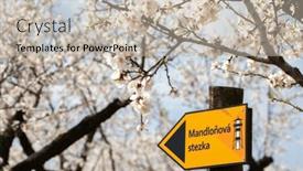  Presentation with orchard - 