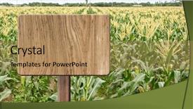  Presentation with corn field - Presentation design featuring sign on field of corn background and a  colored foreground