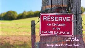  Presentation with hunting - Presentation design with sign with hunting clues forbidden background and a violet colored foreground