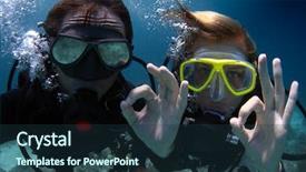  Presentation with divers - Slide deck consisting of branch of blossoming barberry closeup background and a tawny brown colored foreground