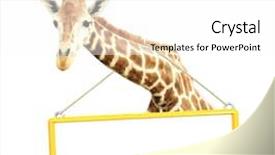  Presentation with signboard - Presentation theme featuring signboard in yellow frame background and a white colored foreground