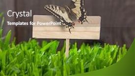  Presentation with rustic spring - PPT layouts enhanced with signboard-spring-on-grass-background background and a dark gray colored foreground