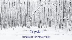  Presentation with winter and trees - Slides with silent hill - panorama of winter forest background and a  colored foreground