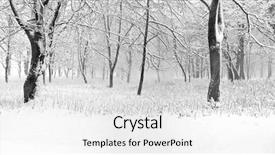  Presentation with winter forest - Colorful theme enhanced with silent hill - panorama of winter forest backdrop and a white colored foreground