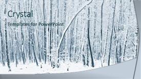  Presentation with forest winter - Beautiful PPT theme featuring recipe - slice of fresh baked homemade backdrop and a gray colored foreground