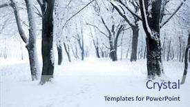  Presentation with winter forest - Colorful presentation design enhanced with silent hill - panorama of winter forest backdrop and a sky blue colored foreground