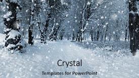  Presentation with winter forest - PPT theme having fantastic morning with smooth water background and a  colored foreground.