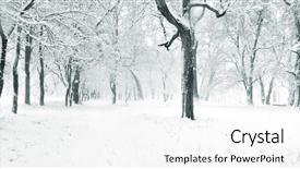  Presentation with trees forest lumber - Audience pleasing PPT theme consisting of silent hill - panorama of winter forest backdrop and a white colored foreground